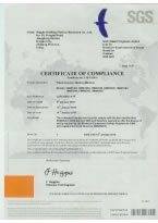 Certificate of Patent